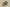 Kyrie 5 Spongebob Pineapple House Green/Blue/Orange