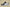 R26 Jordan Travis Scott x Air Jordan 1 Low OG TS SP