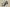 R26 Jordan Travis Scott x Air Jordan 1 Low OG TS SP
