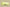Yeezy Coconut 350 Fluorescent Black Cost-Effective Edition