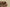 Adidas Originals Yeezy Earthy Ochre