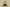 Adidas Originals Yeezy Earthy Ochre