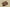 Adidas Originals Yeezy Earthy Ochre