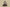 Adidas Originals Yeezy Foam Runner Grey Hole Slip-Ons