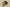 Adidas Yeezy 700 V3 Mono Safflower Kanye West White and Yellow Running Shoes