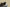 Adidas Yeezy Boost 350 V2 Brown Green Second Generation Real Popcorn Colorway