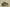 Adidas Yeezy Boost 350 V2 Brown Green Second Generation Real Popcorn Colorway