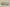 Adidas Yeezy Boost 350 V2 Brown Green Second Generation Real Popcorn Colorway