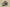 Adidas Yeezy Boost 350 V2 Brown Green Second Generation Real Popcorn Colorway