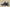 Adidas Yeezy Boost 350 V2 Coconut Black Dragon Kanye West Explosive New Colorway
