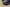 Adidas Yeezy Boost 350 V2 Coconut Black Dragon Kanye West Explosive New Colorway