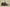 Adidas Yeezy Boost 350 V2 Coconut Black Dragon Kanye West Explosive New Colorway