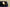 Adidas Yeezy Boost 350 V2 Onyx – Second Generation Black Warrior Colorway