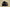 Adidas Yeezy Boost 350 V2 Onyx – Second Generation Black Warrior Colorway