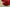 Adidas Yeezy Foam Runner Red Flame Cinnabar Everyday Ventilated Comfort
