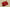 Adidas Yeezy Foam Runner Red Flame Cinnabar Everyday Ventilated Comfort