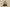 Adidas originals Yeezy grey hole shoes