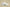 Affordable Yeezy 350 V2 All White Unisex Sneakers