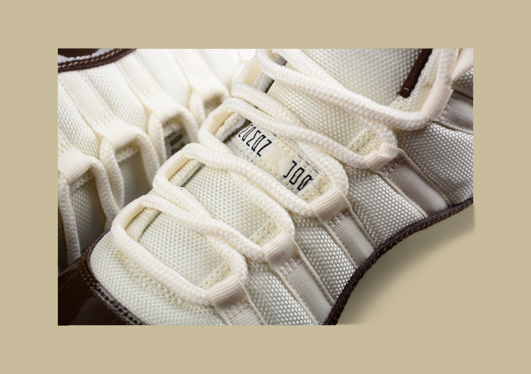 Air Jordan 11"Neapolitan"