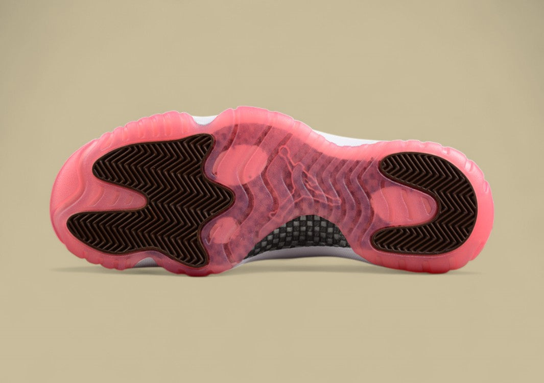 Air Jordan 11"Neapolitan"