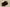 Air Jordan 11 Retro Low "Bred"