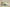 Air Jordan 11 Retro Low “Legend Blue” – Eisige Eleganz in ikonischem Look