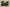 Air Jordan 11 Retro Olive Green Black