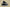 Air Jordan 11“25th Anniversary”