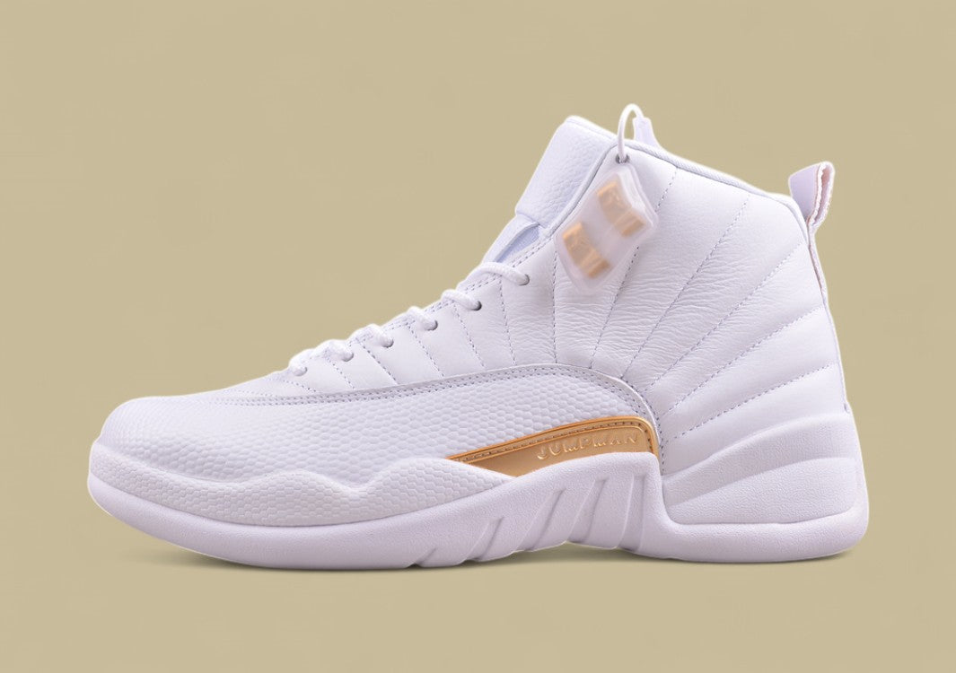 Air Jordan 12 Retro  Platinum