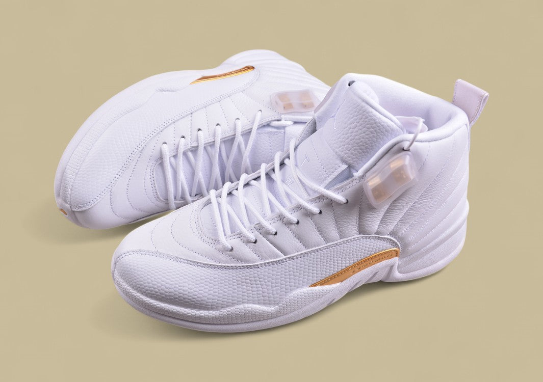 Air Jordan 12 Retro  Platinum