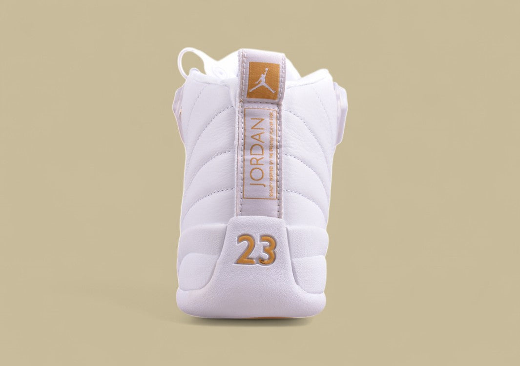 Air Jordan 12 Retro  Platinum