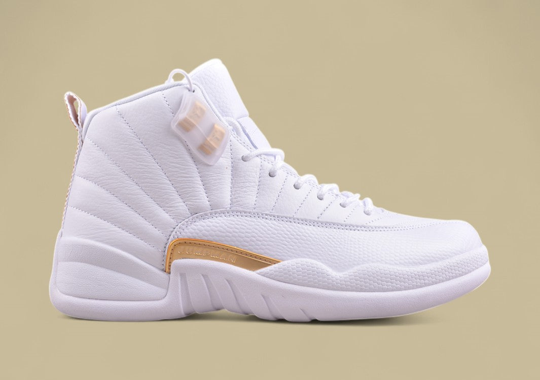 Air Jordan 12 Retro  Platinum