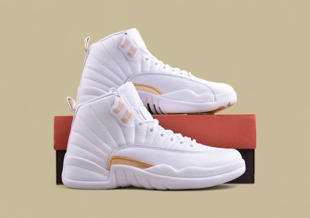 Air Jordan 12 Retro  Platinum