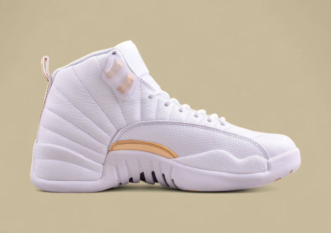 Air Jordan 12 Retro  Platinum