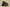 Air Jordan 12 Retro The Masterg