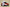 Air Jordan 12 Retro White, Black and Red Real Label Real Carbon