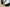 Air Jordan 12 Retro White, Black and Red Real Label Real Carbon