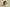 Air Jordan 1 Low Black Stripe Green