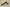 Air Jordan 1 Low Black and Green