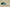 Air Jordan 1 Low "Happy Smile" Green