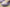 Air Jordan 1 Low Pink and Purple