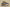 Air Jordan 1 Low “Campus” – Wheat/Yellow/Navy Blue