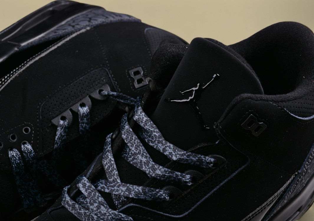 Air Jordan 3 "Black Cement"