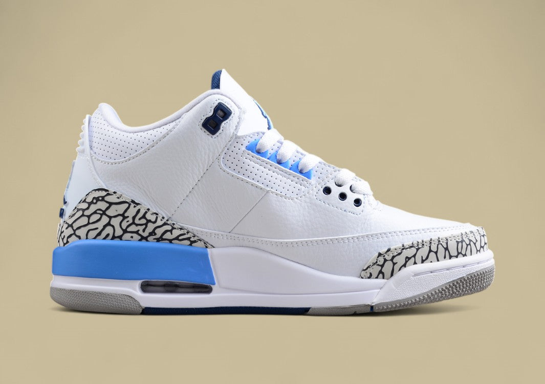 Air Jordan 3 UNC