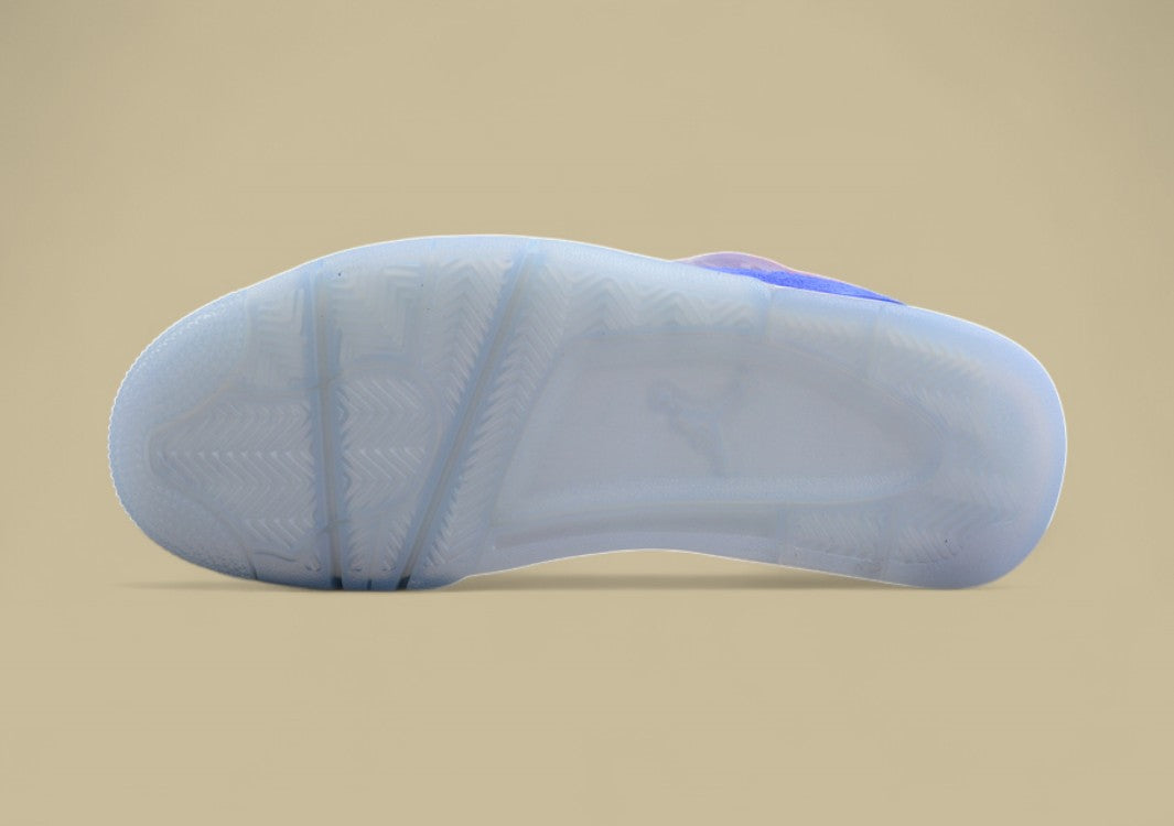 Air Jordan 4 "Florida Gators"