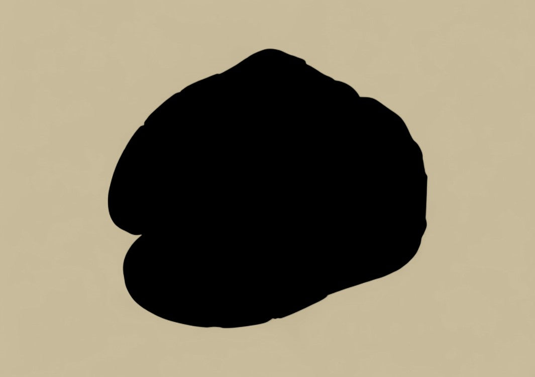 Air Jordan 5 Dark Gray With Neon Green Flame Accents