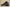 Air Jordan 5 Off White Black Cicada Wing