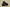 Air Jordan 5 Off White Black Cicada Wing