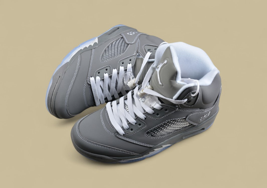 Air Jordan 5 Retro Cool Grey & Metallic Silver