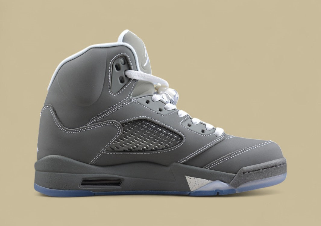 Air Jordan 5 Retro Cool Grey & Metallic Silver